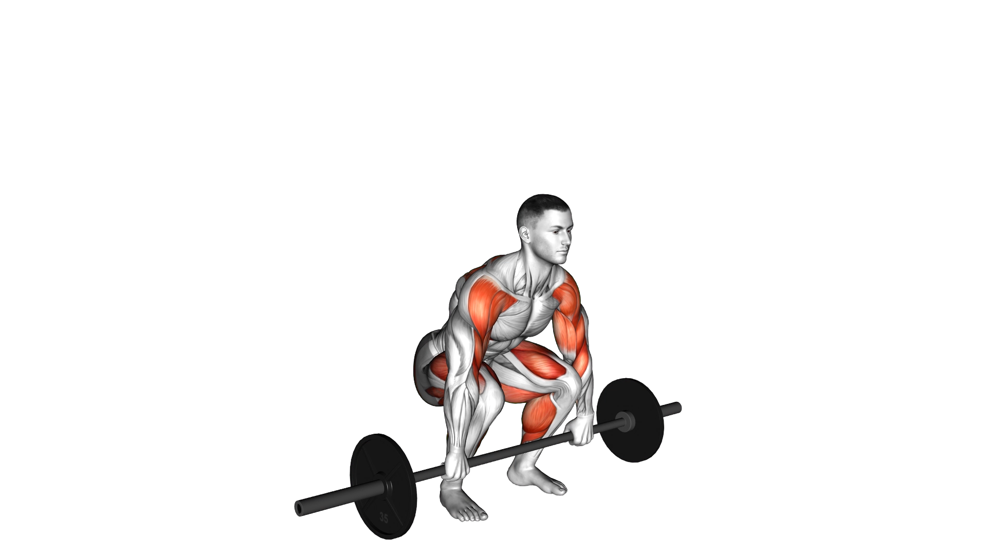 Barbell Clean Pull exercise thumbnail