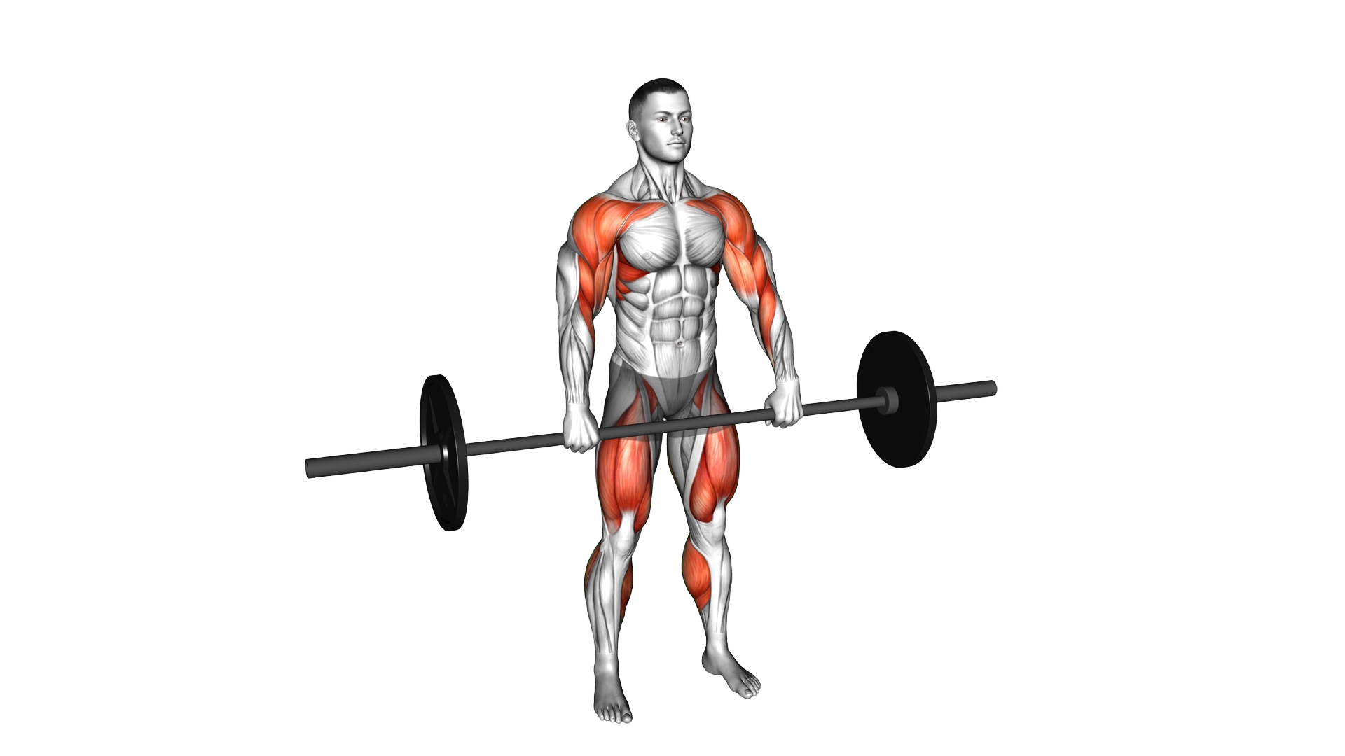 Barbell Hang Clean exercise thumbnail
