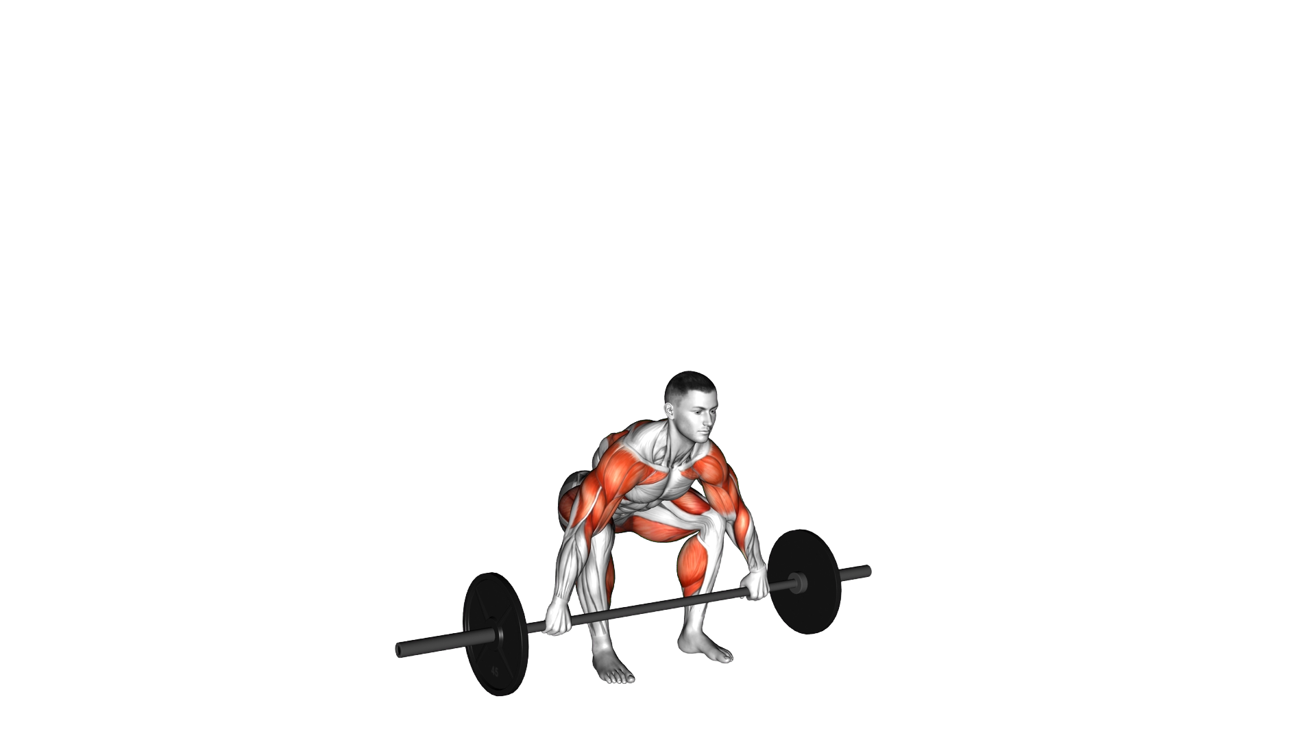 Barbell Hang Snatch exercise thumbnail