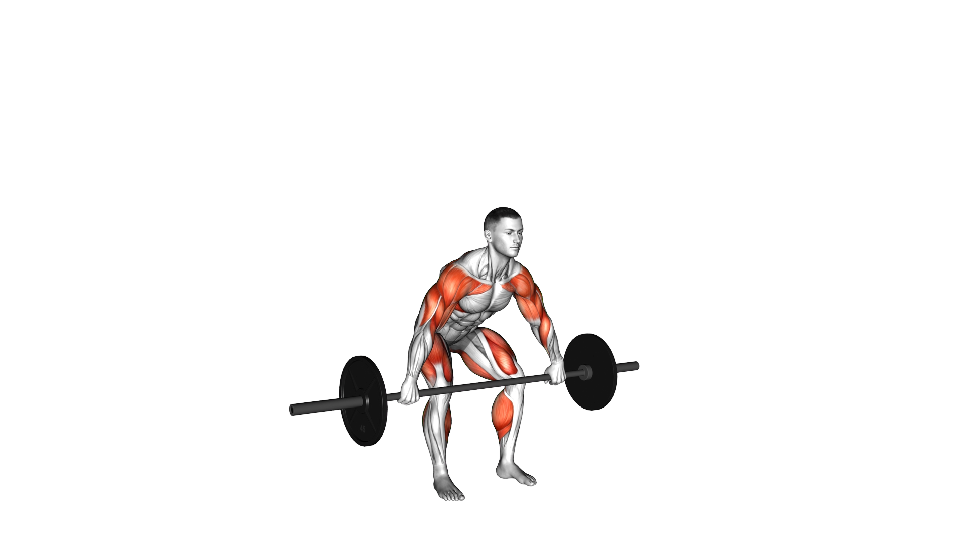 Barbell Hang Snatch Below the Knees exercise thumbnail