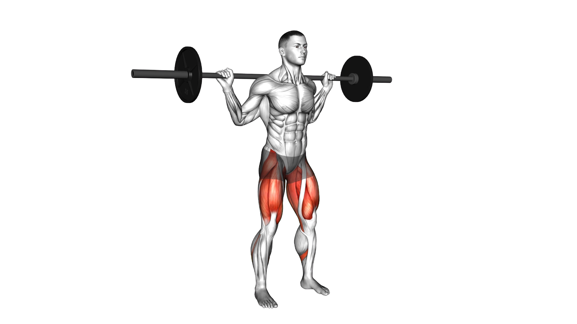 Barbell Olympic Squat exercise thumbnail