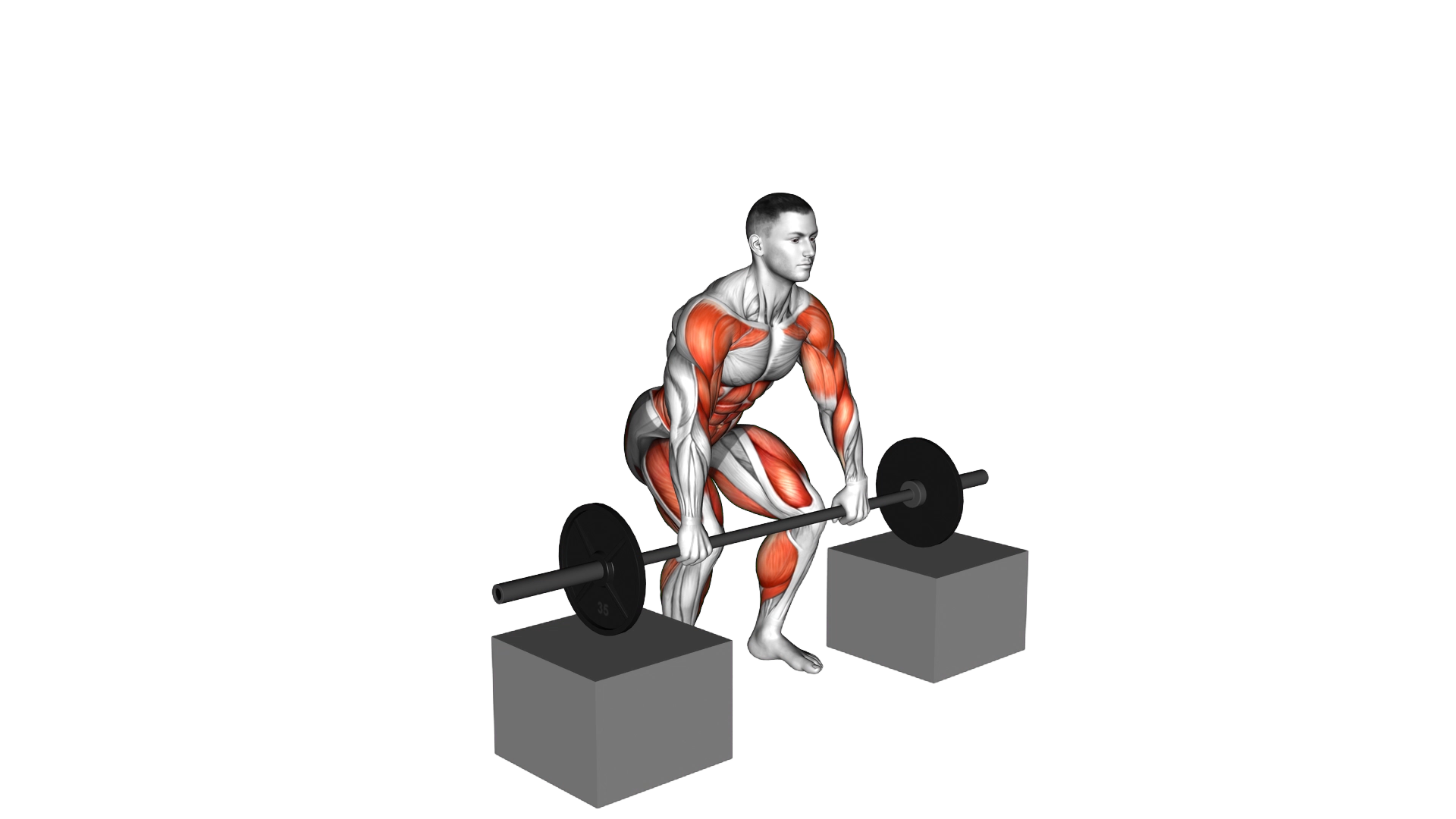 Barbell Power Clean from Blocks exercise thumbnail