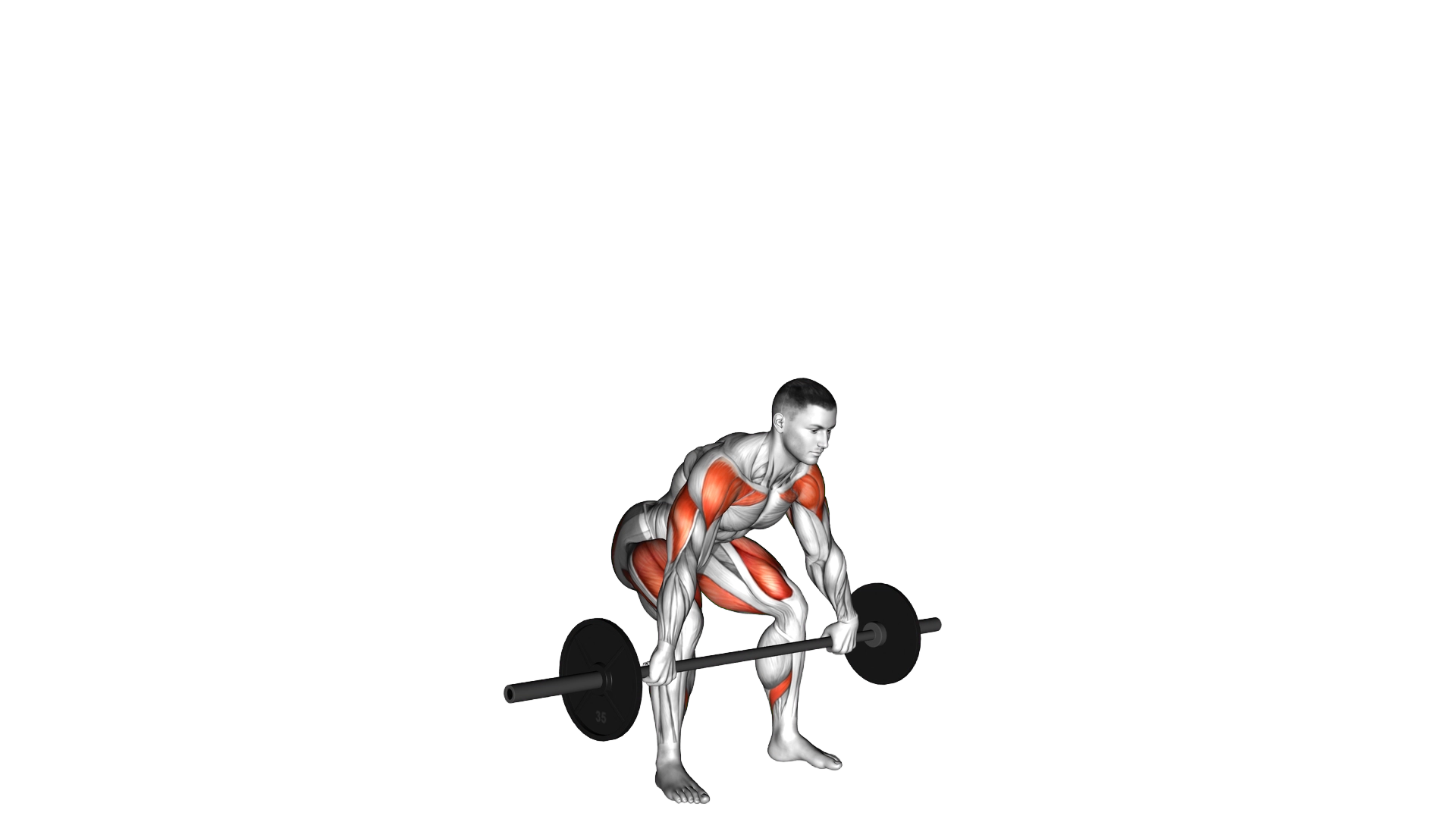 Barbell Power Snatch exercise thumbnail