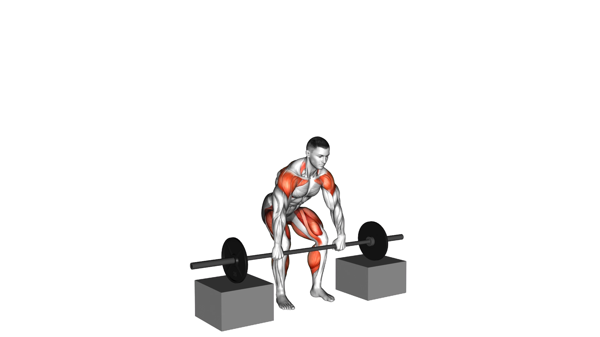 Barbell Power Snatch From Blocks exercise thumbnail