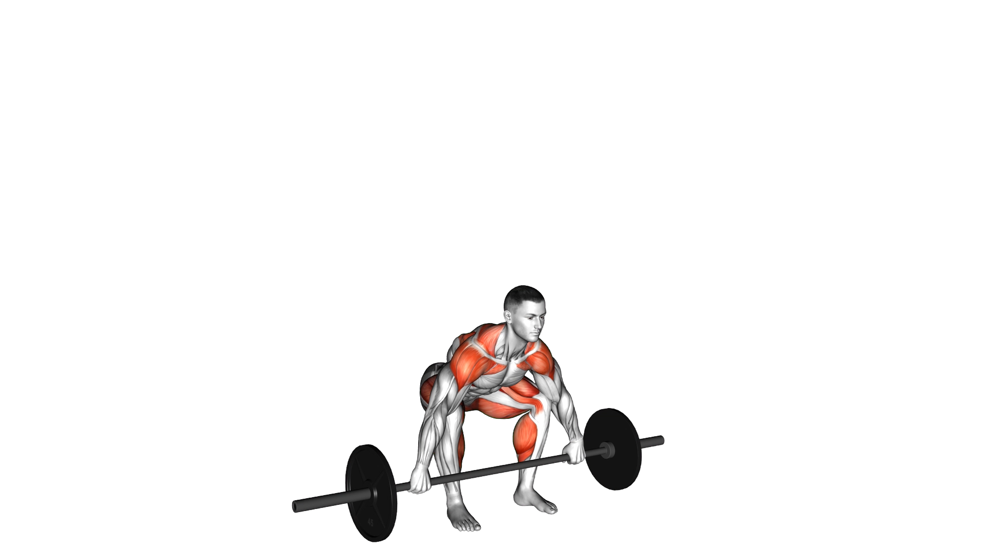 Barbell Snatch exercise thumbnail