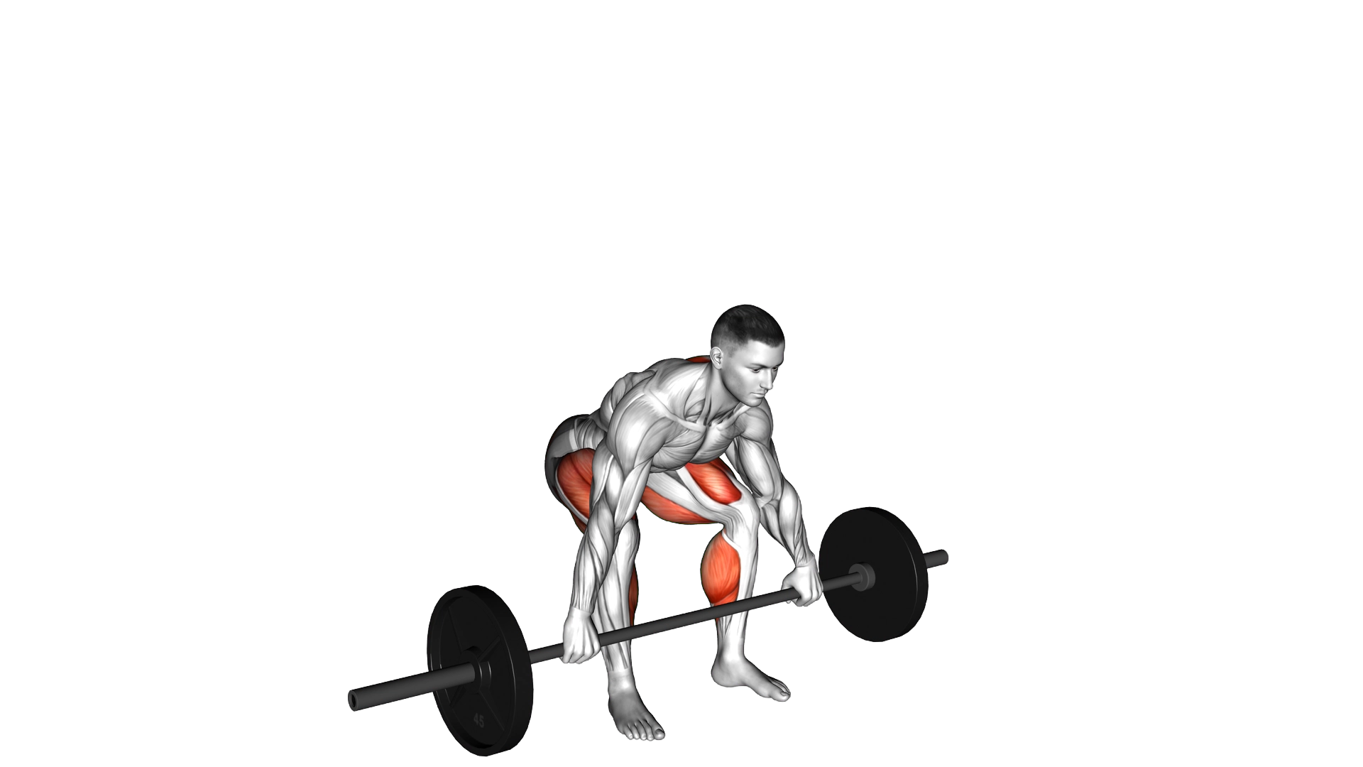 Barbell Snatch Deadlift exercise demonstration