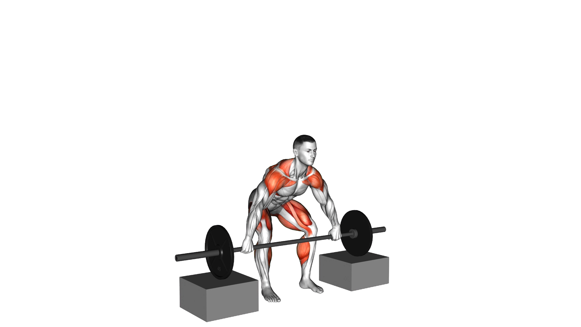Barbell Snatch from Blocks exercise thumbnail