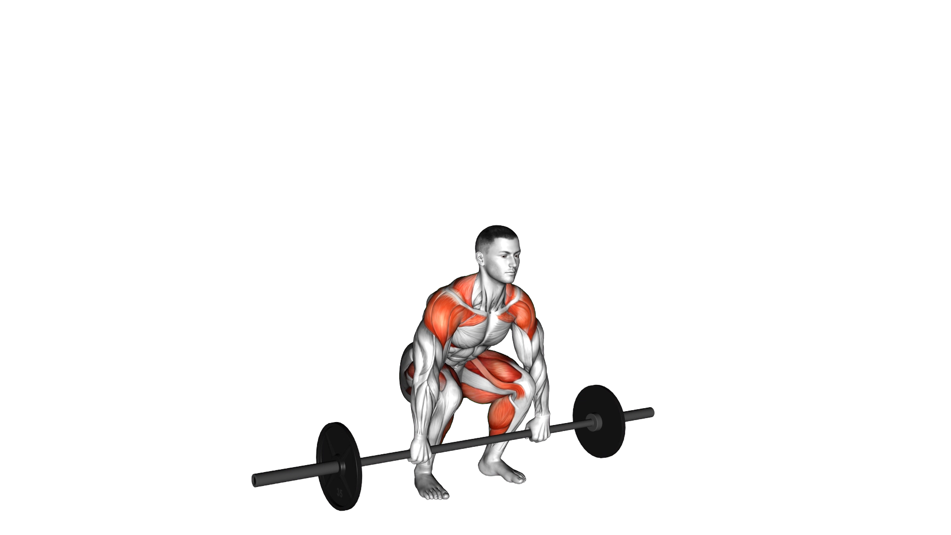Barbell Split Clean exercise demonstration