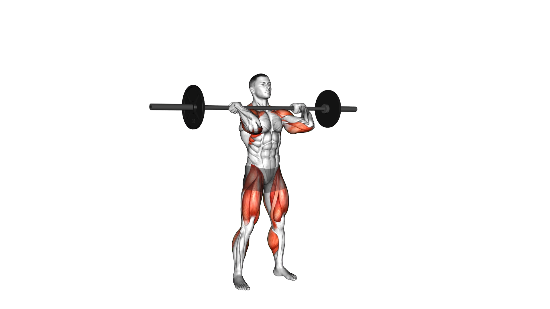 Barbell Split Jerk exercise demonstration