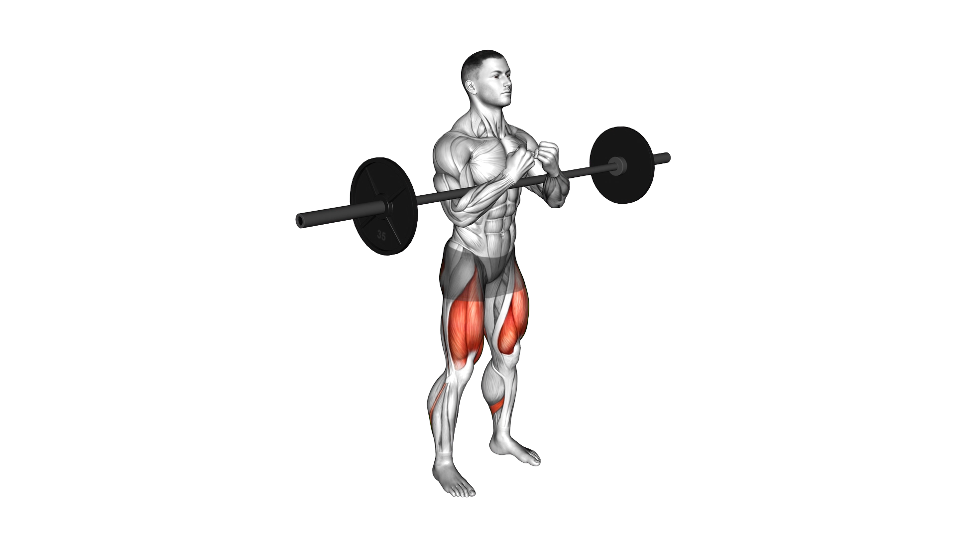 Barbell full Zercher Squat exercise thumbnail