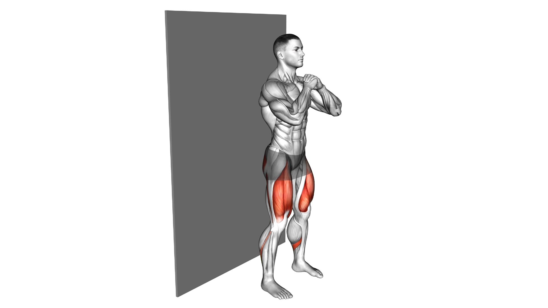 Bodyweight Wall Squat exercise thumbnail