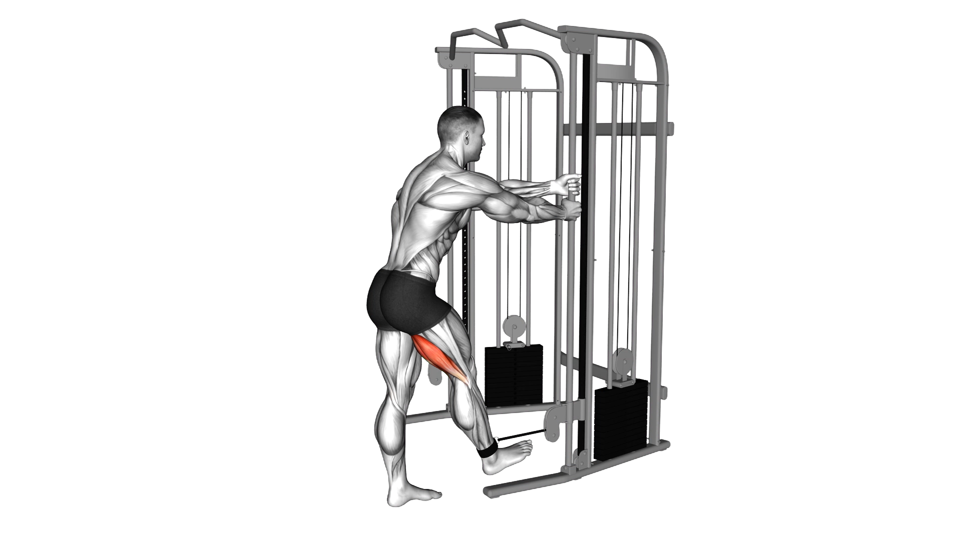 Cable Standing Leg Curl exercise thumbnail