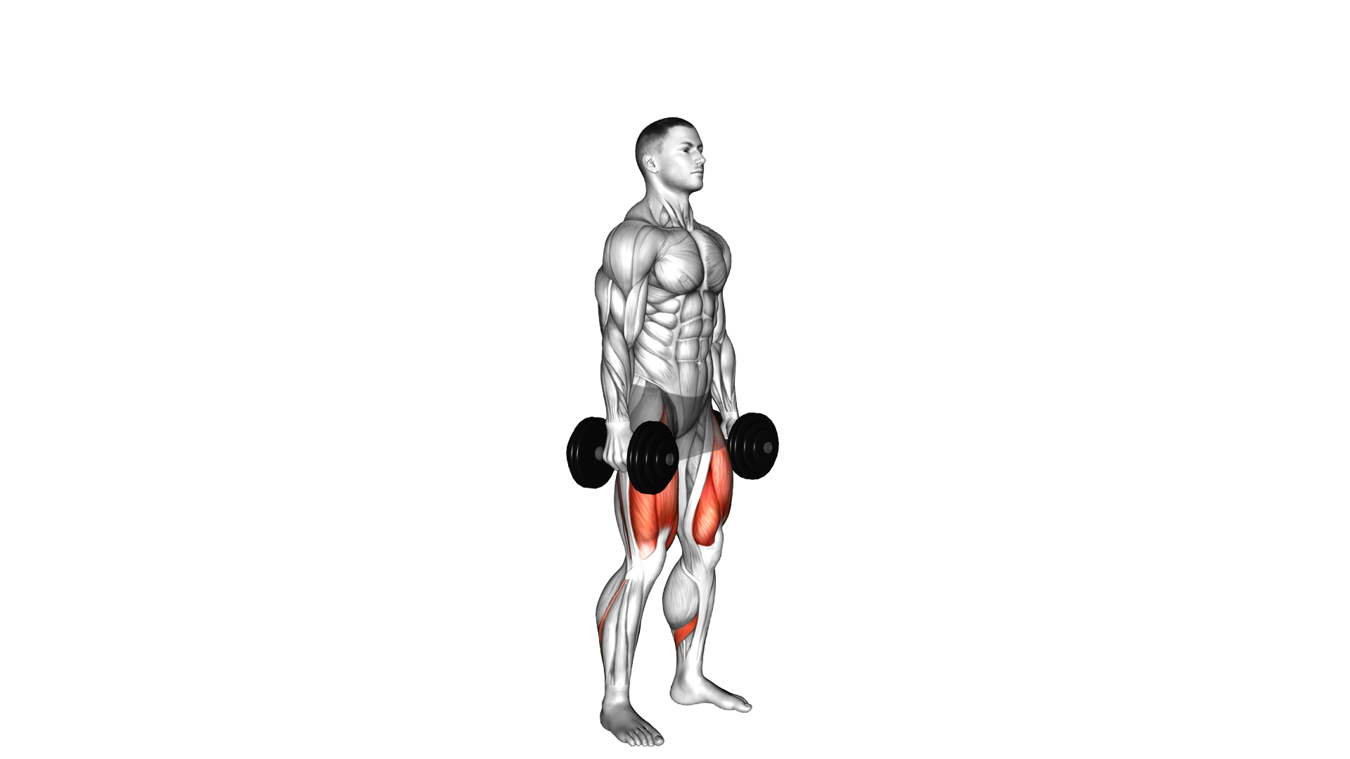 Dumbbell Jumping Squat exercise demonstration
