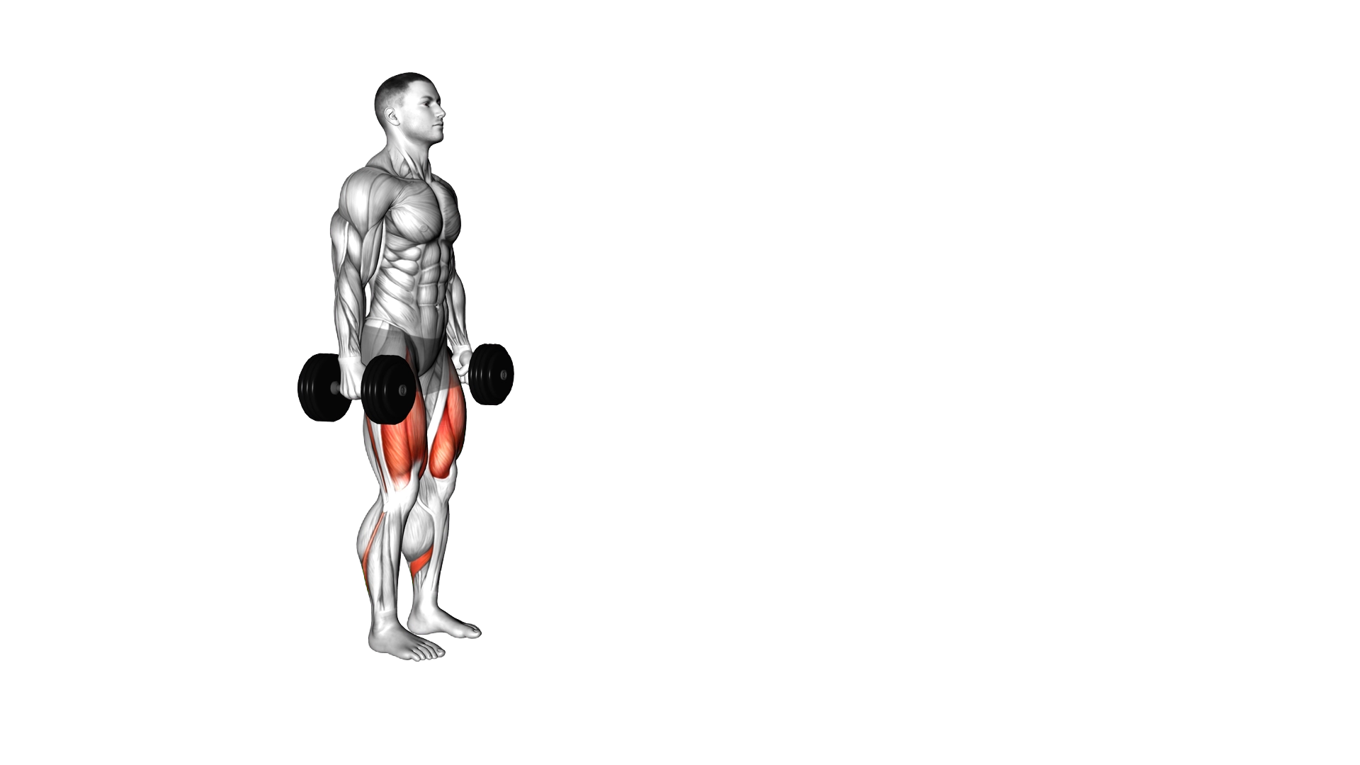 Dumbbell Walking Lunges exercise demonstration