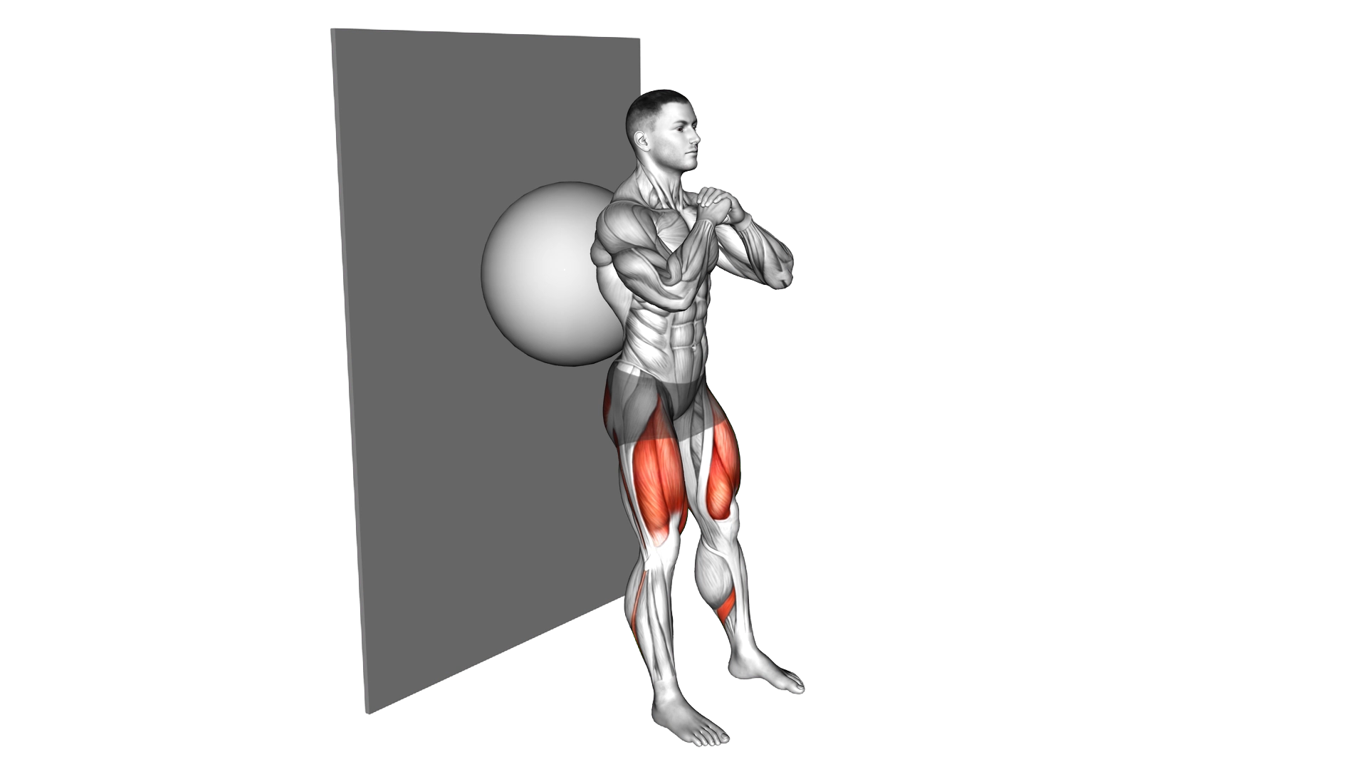 Exercise Ball Wall Squat exercise demonstration