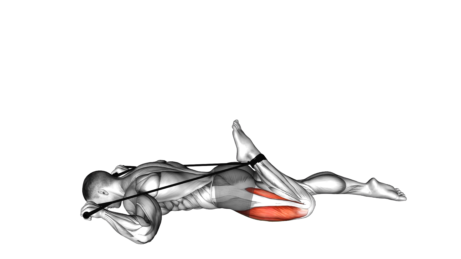 Intermediate Hip Flexor and Quad Stretch exercise demonstration