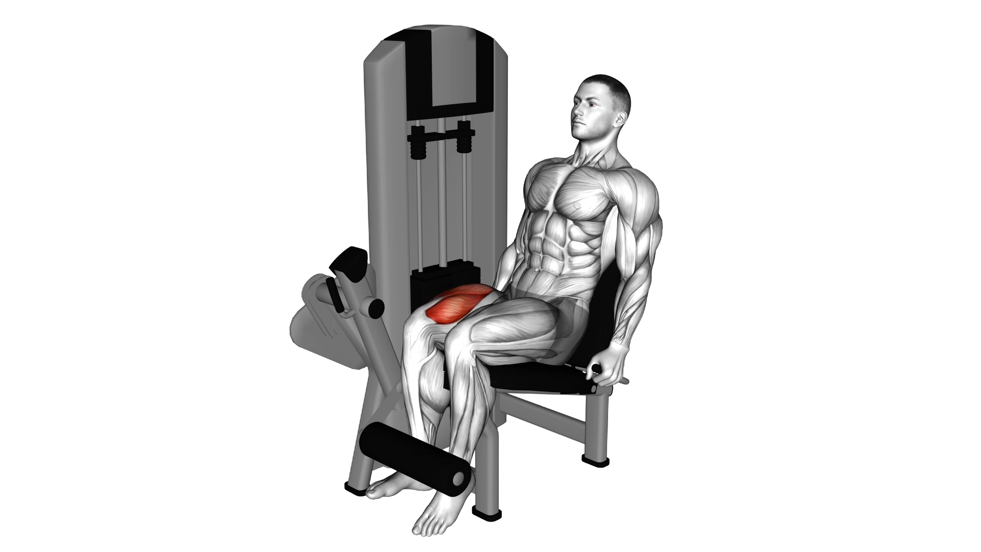 Lever One Leg Extension exercise thumbnail