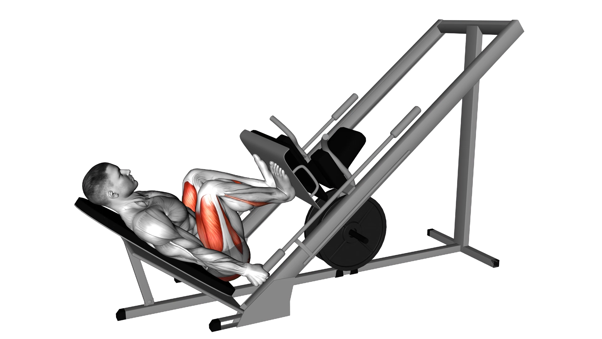 Sled 45 Narrow Stance Leg Press exercise demonstration