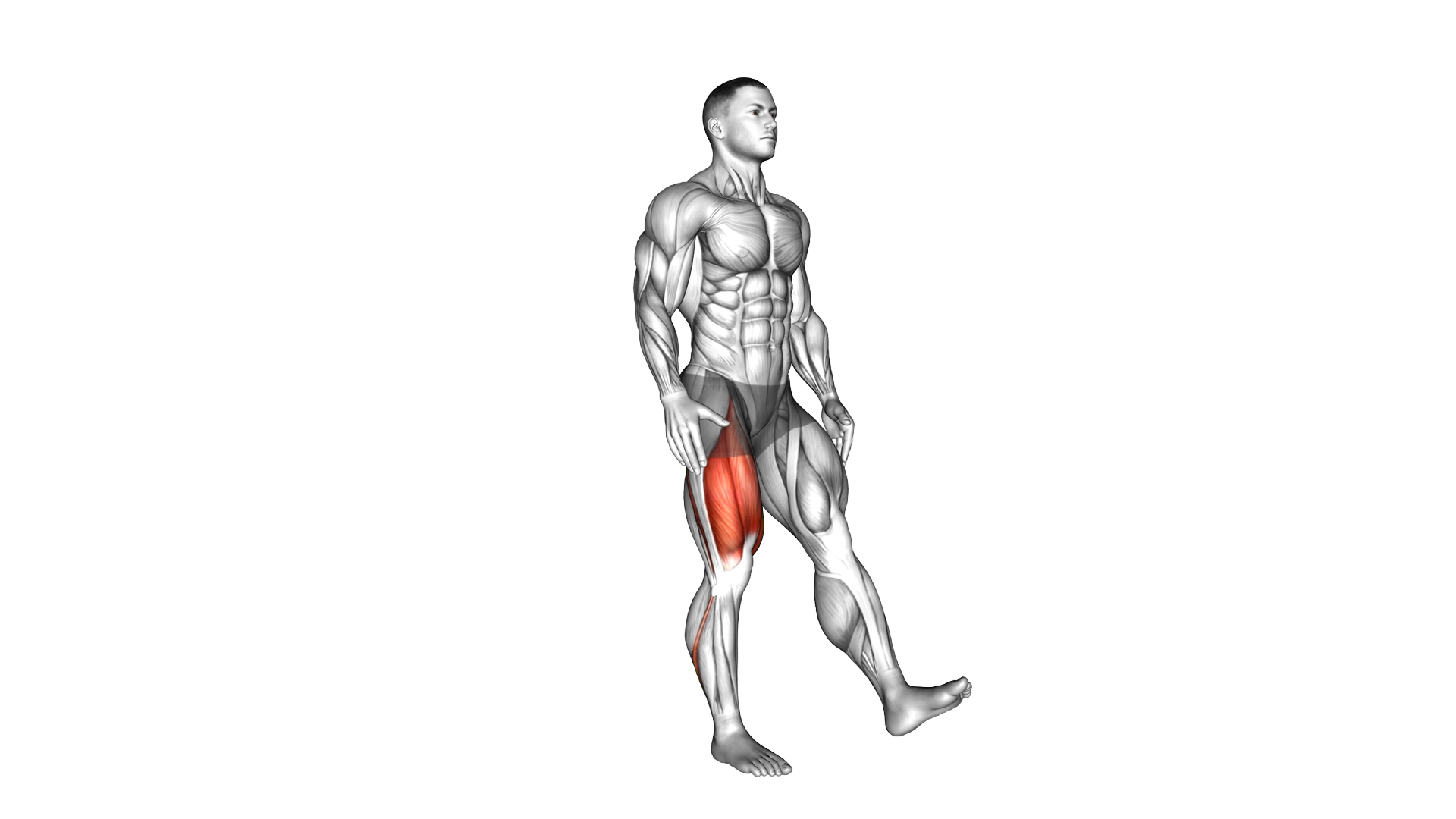 One Leg Quarter Squat exercise demonstration