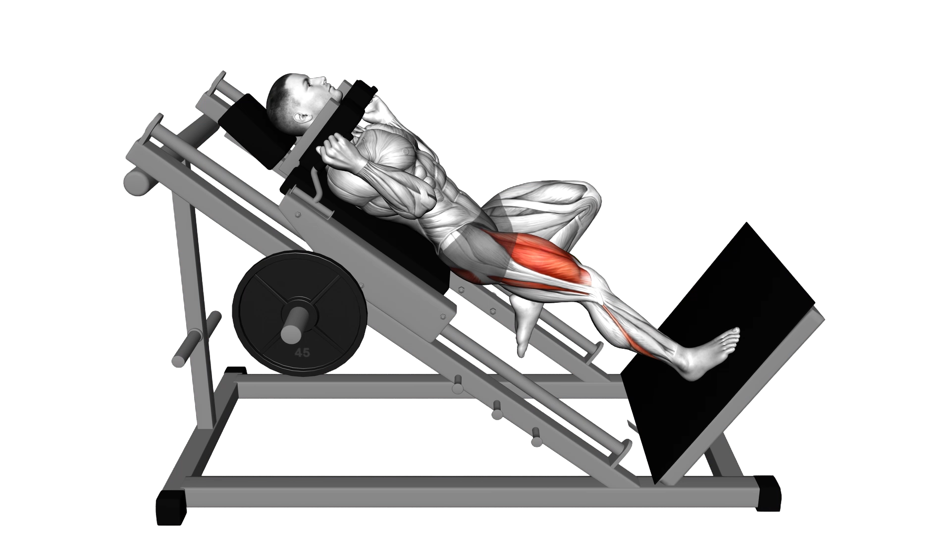 Sled One Leg Hack Squat exercise thumbnail