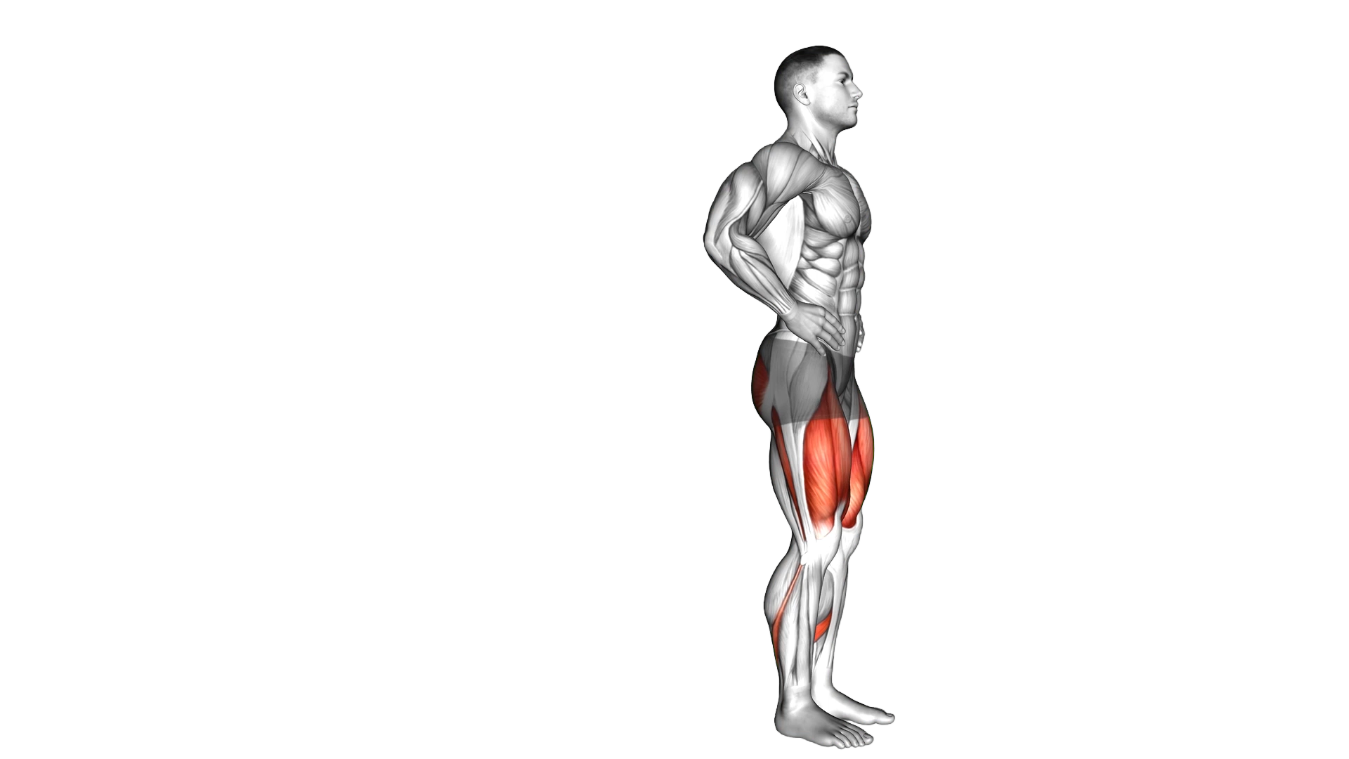 Bodyweight Rear Lunge exercise thumbnail