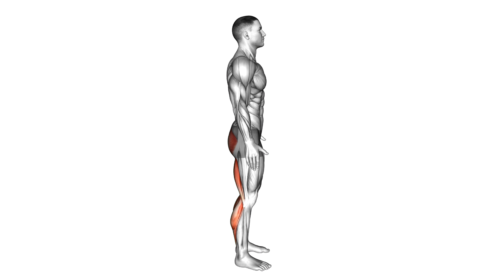 Runners Stretch exercise demonstration