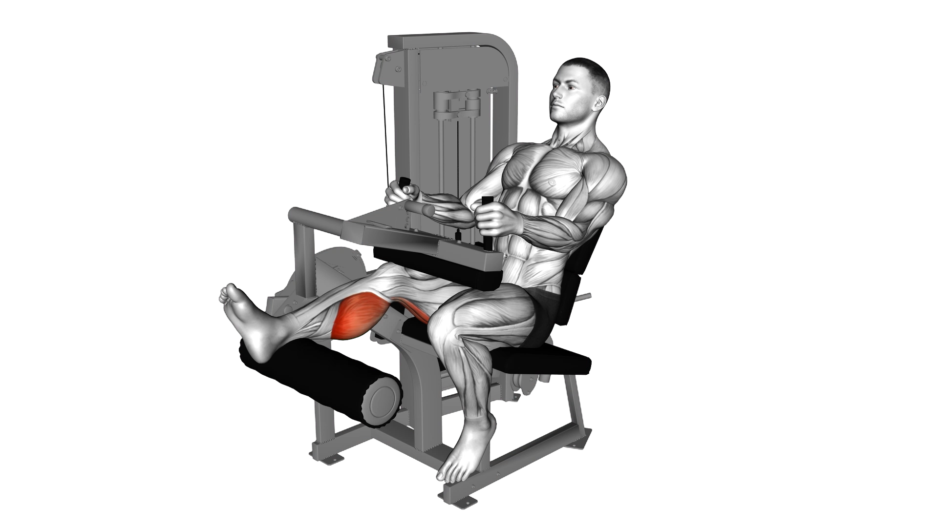 Lever Seated One Leg Curl exercise demonstration