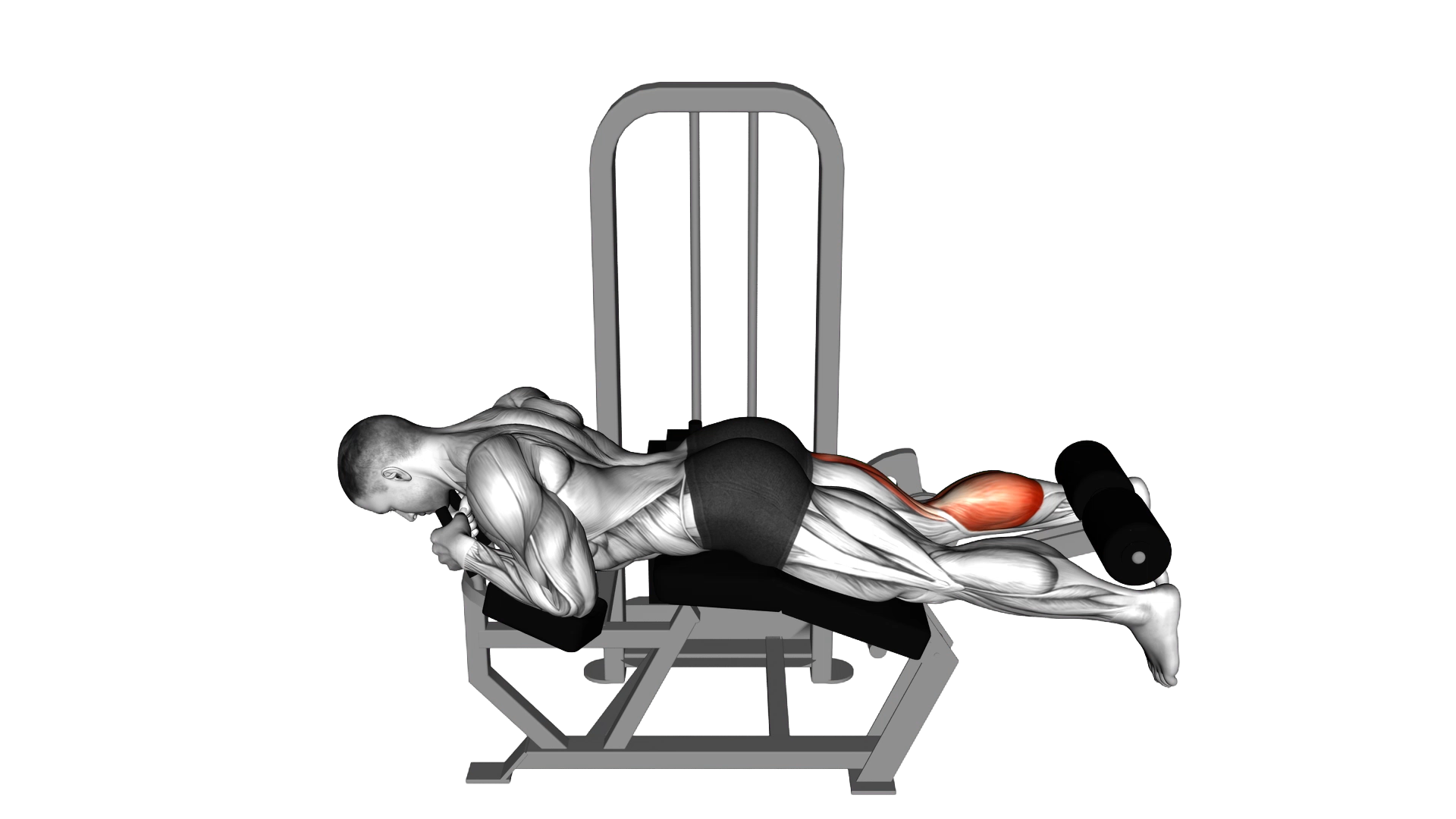 Lever Lying Single Leg Curl exercise thumbnail