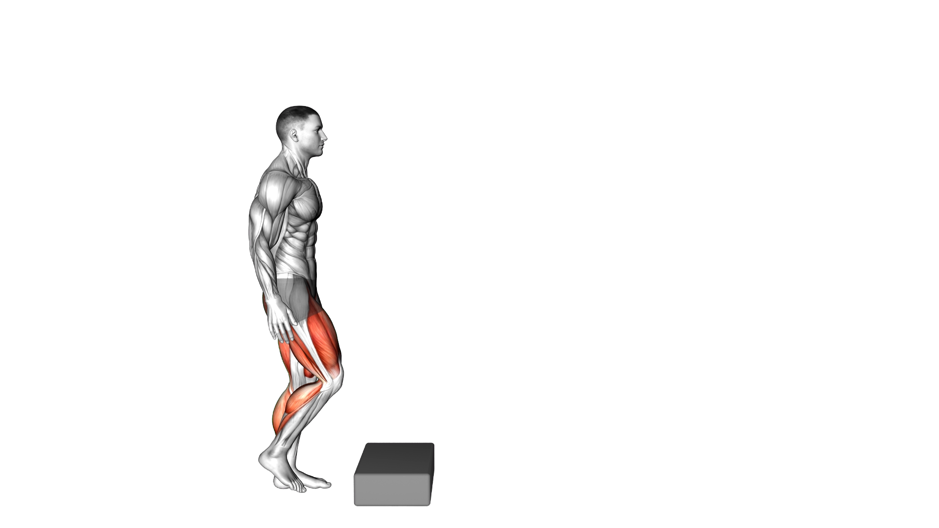Single Leg Stride Jump exercise demonstration