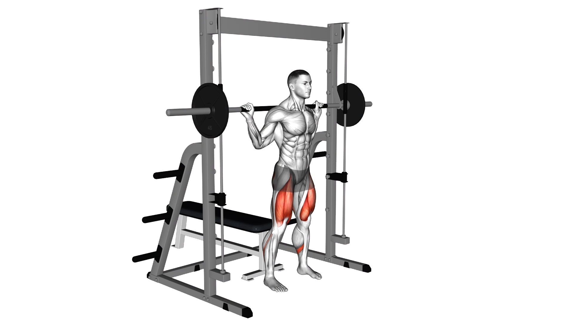 Smith Squat to Bench exercise thumbnail