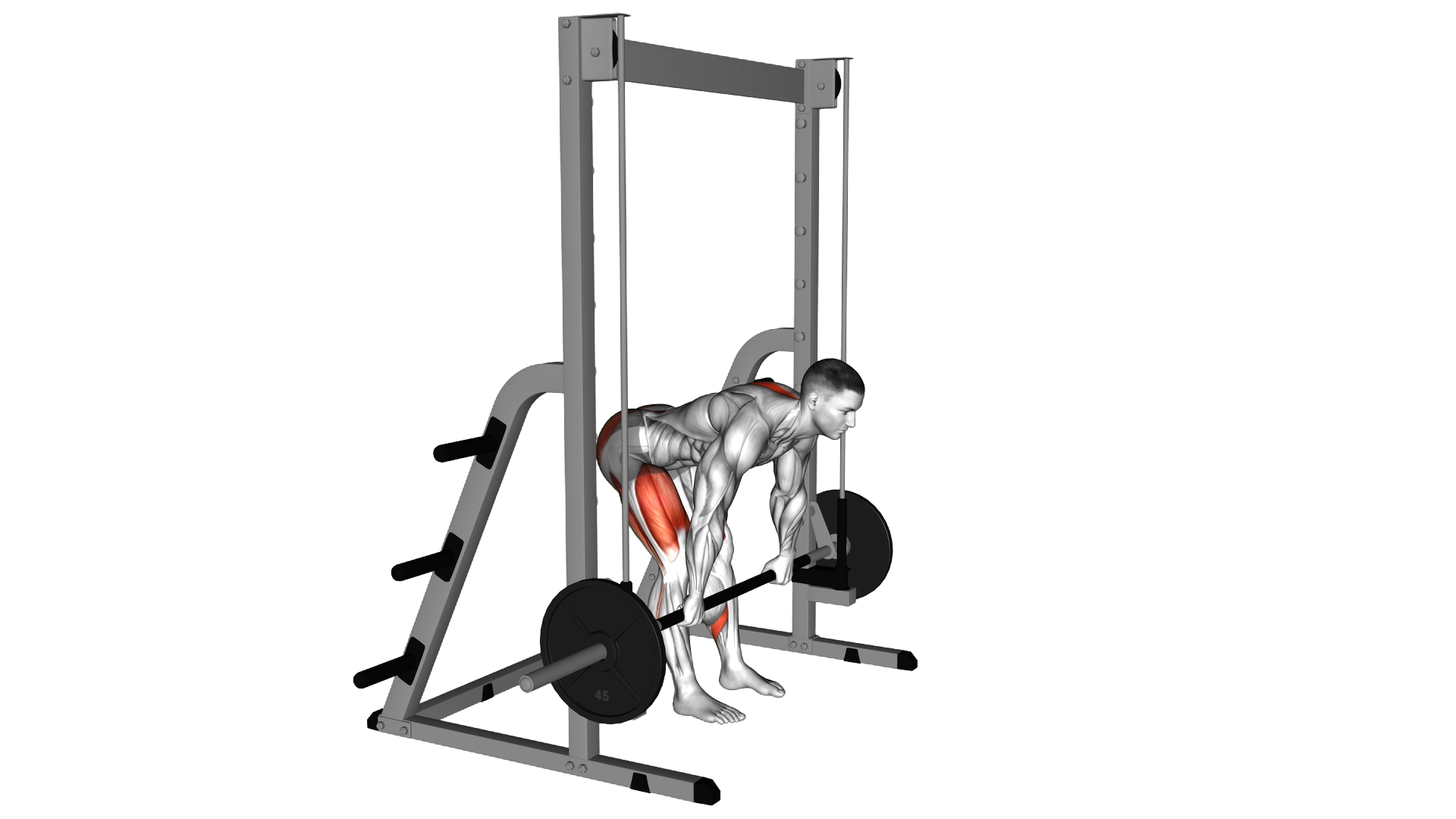 Smith Stiff Legged Deadlift exercise demonstration