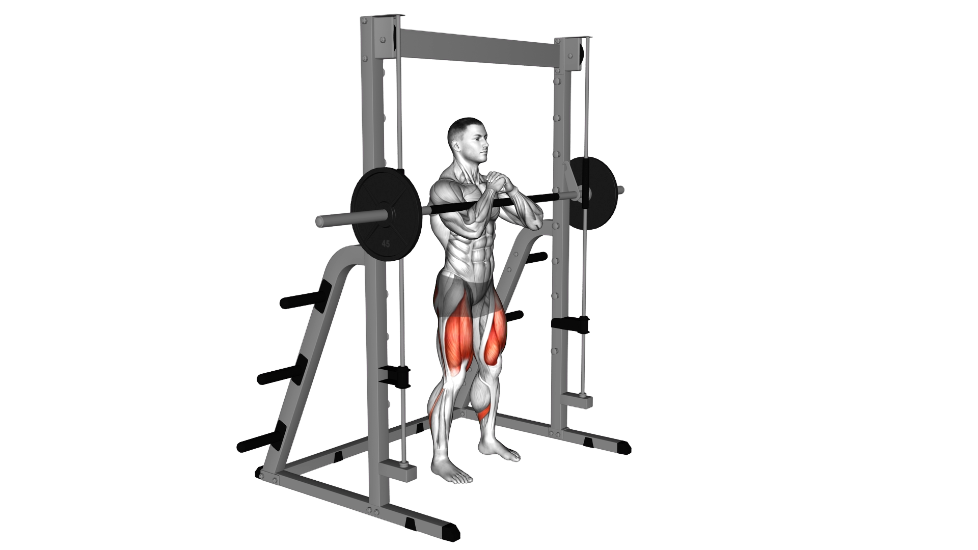 Smith Zercher Squat exercise demonstration