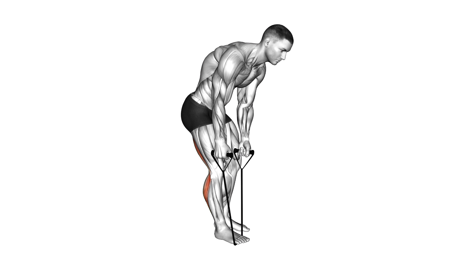 Standing Hamstring and Calf Stretch with Starp exercise thumbnail