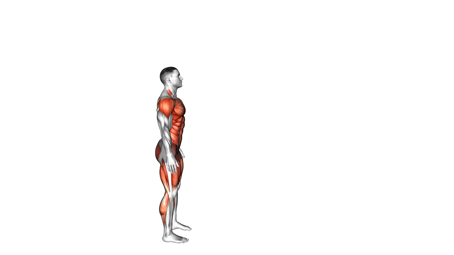 Long Jump exercise demonstration