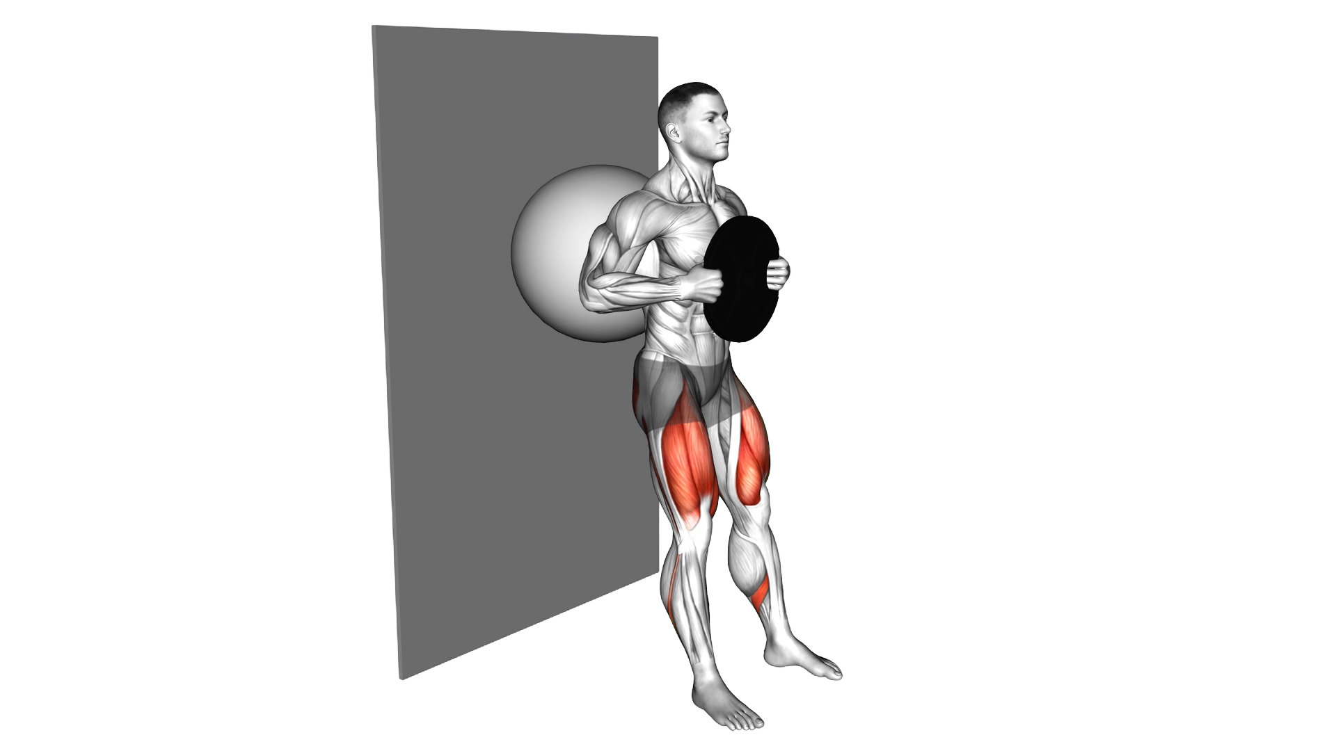 Weighted Exercise Ball Wall Squat exercise thumbnail