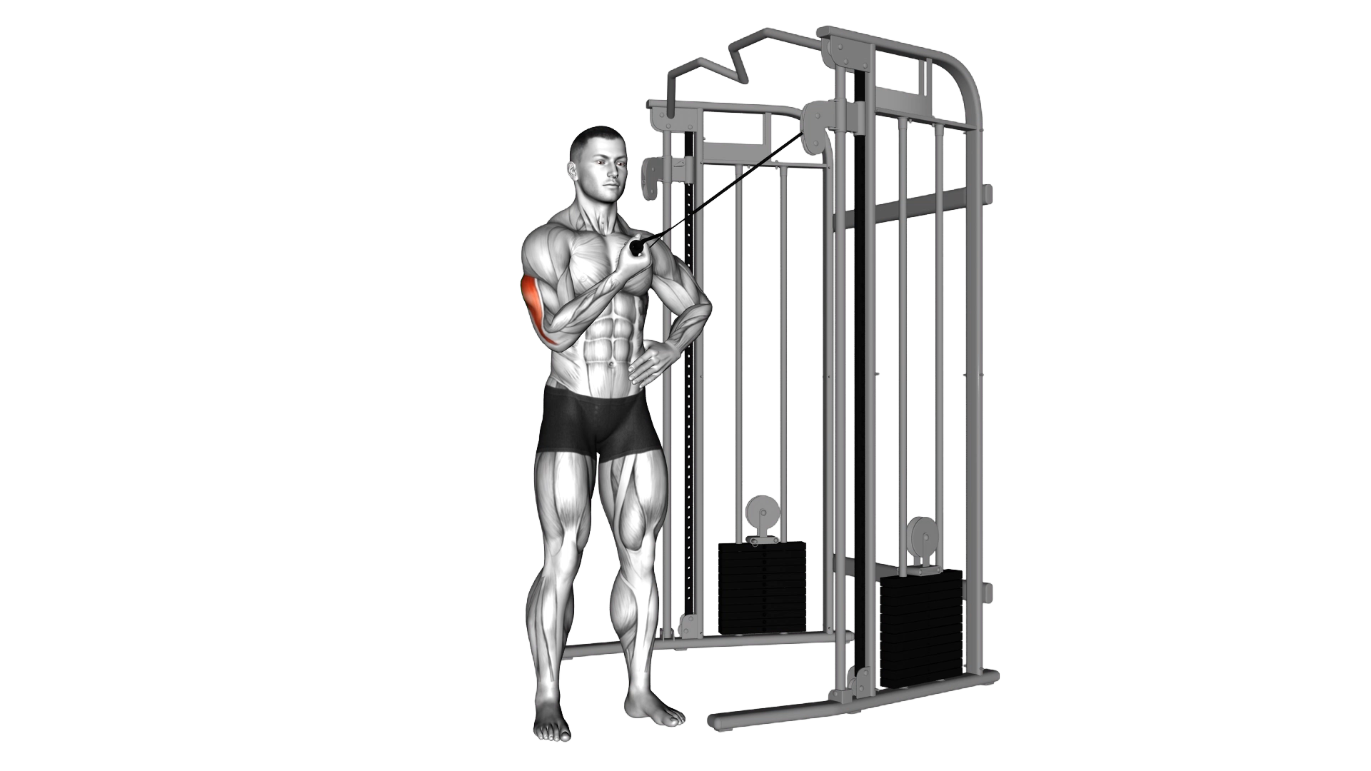 Cable One Arm Side Triceps Pushdown exercise thumbnail