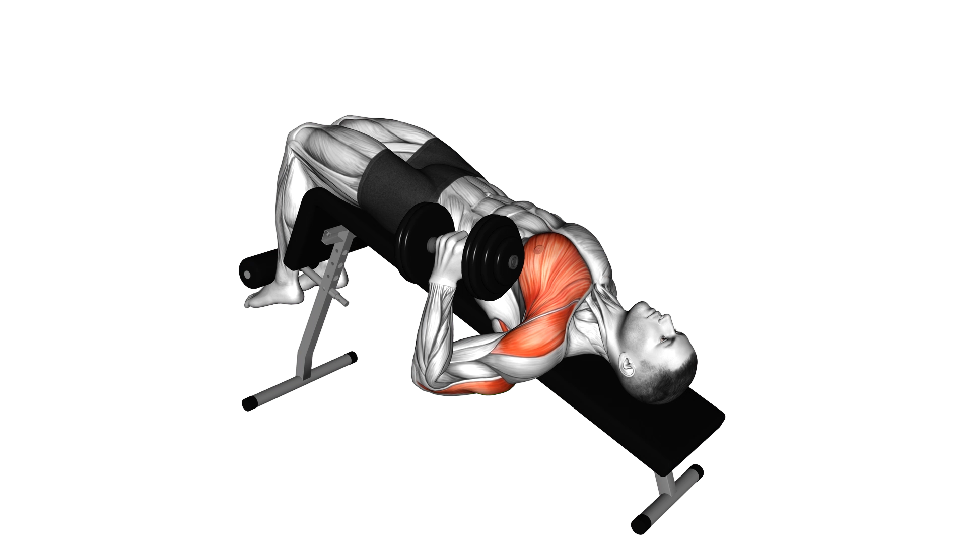 Dumbbell Decline One Arm Hammer Press exercise demonstration