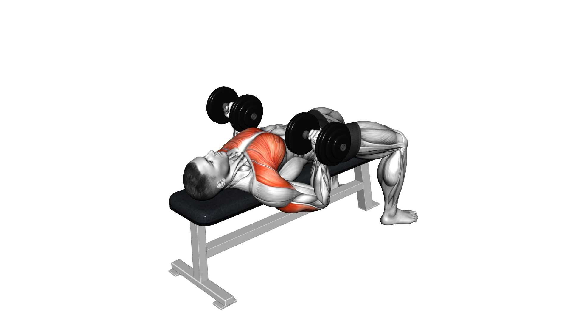 Dumbbell Reverse Bench Press exercise thumbnail