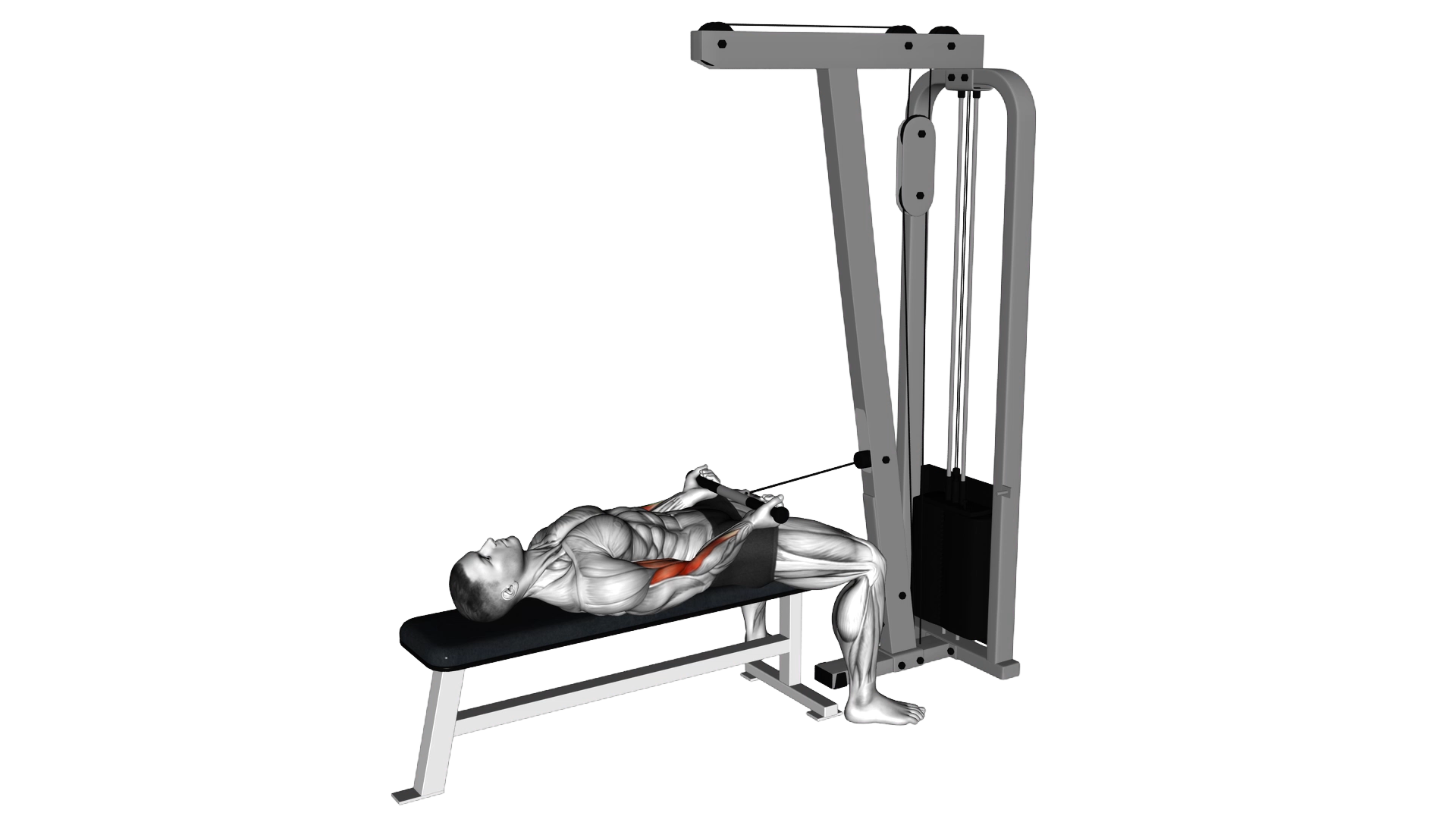 Cable Lying Bicep Curl exercise thumbnail