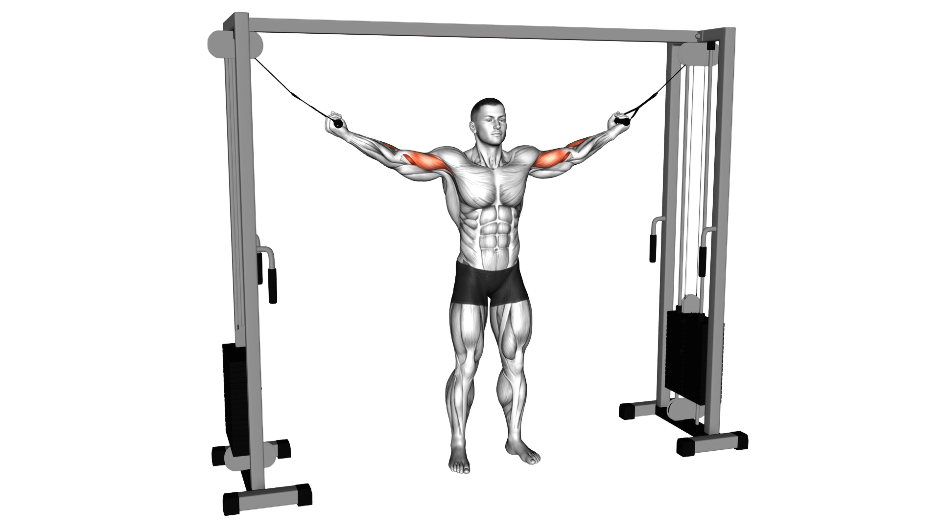 Cable Overhead Curl exercise demonstration