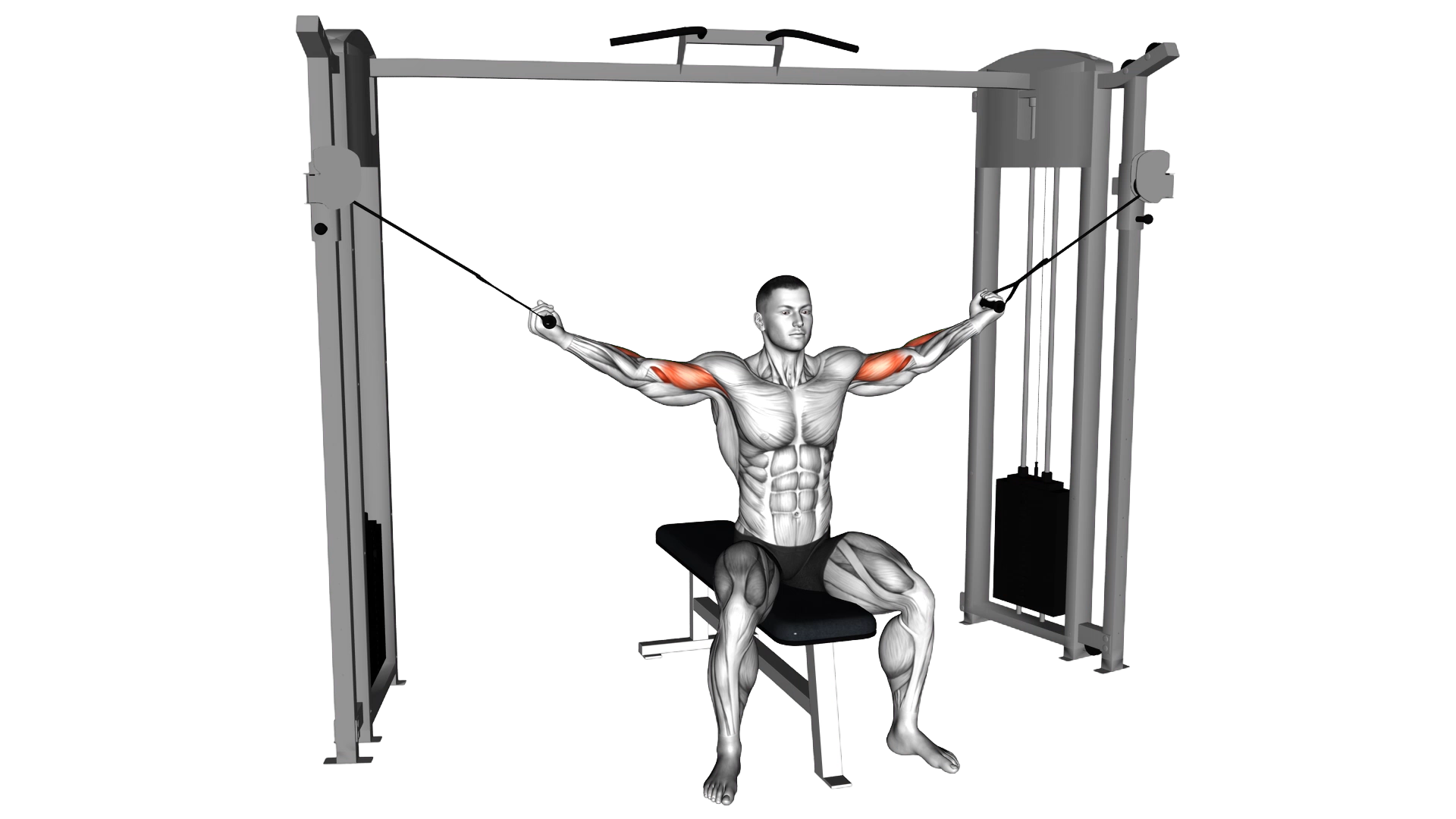 Cable Seated Overhead Curl exercise thumbnail