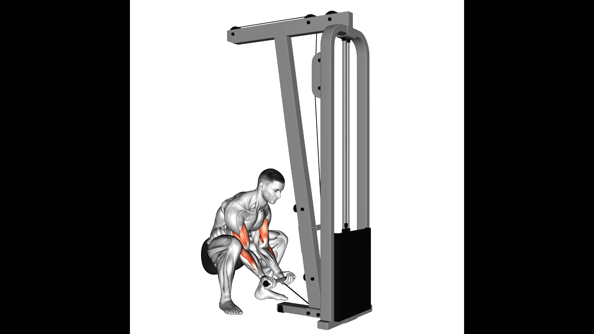 Cable Squatting Curl exercise thumbnail