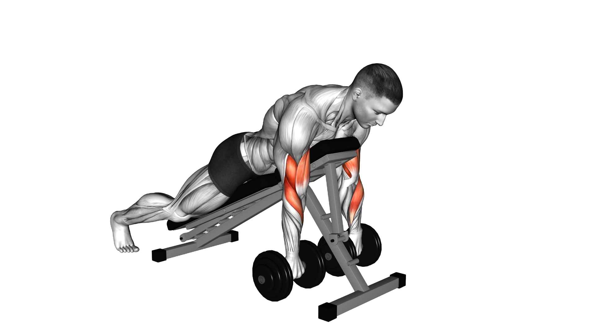 Dumbbell Reverse Spider Curl exercise demonstration