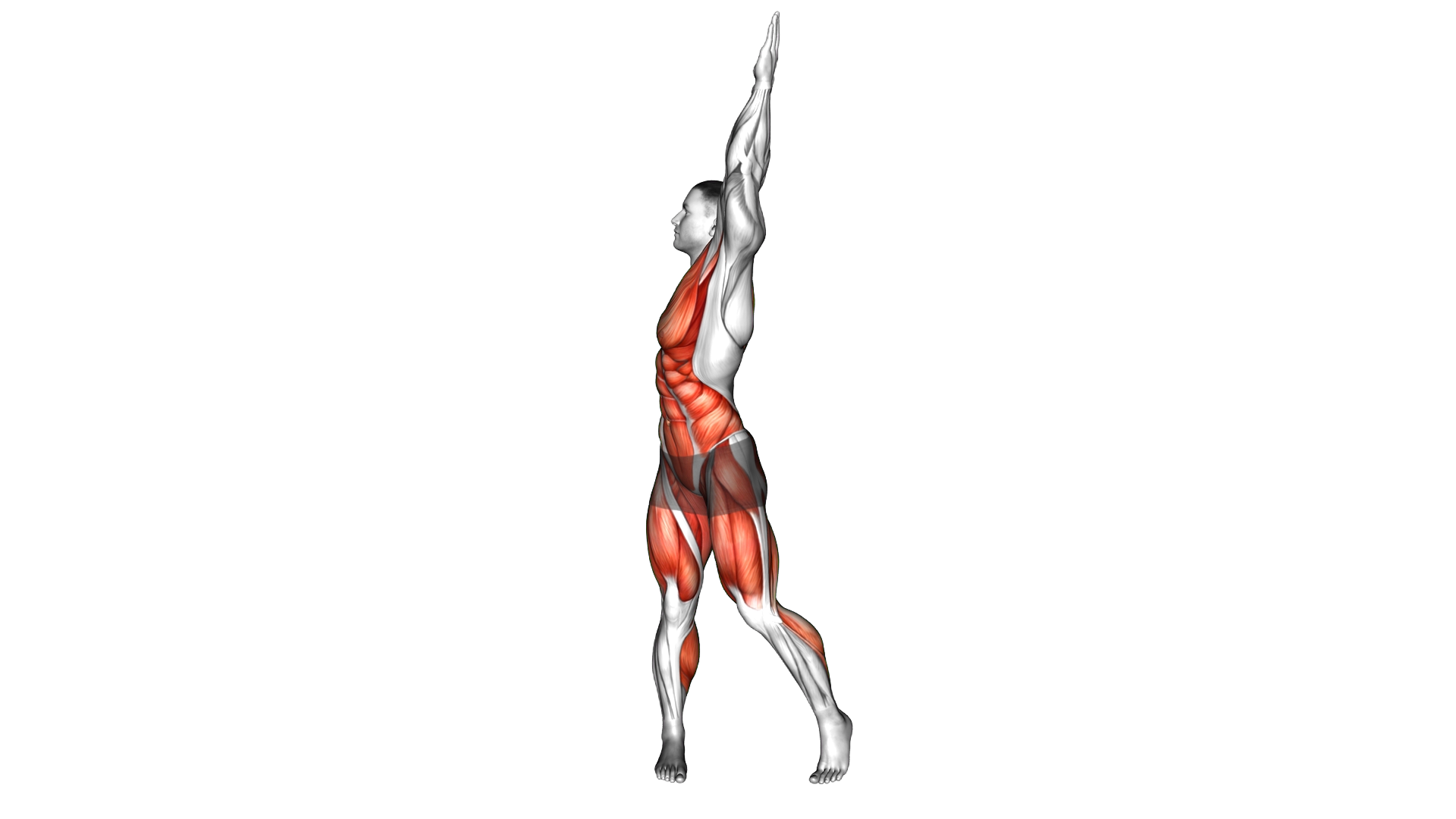 Squat to Overhead Reach with Twist exercise demonstration