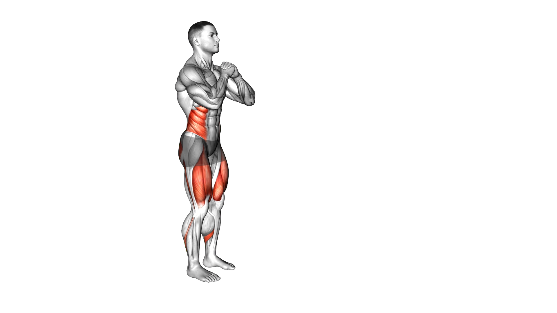Lunge with Twist exercise demonstration