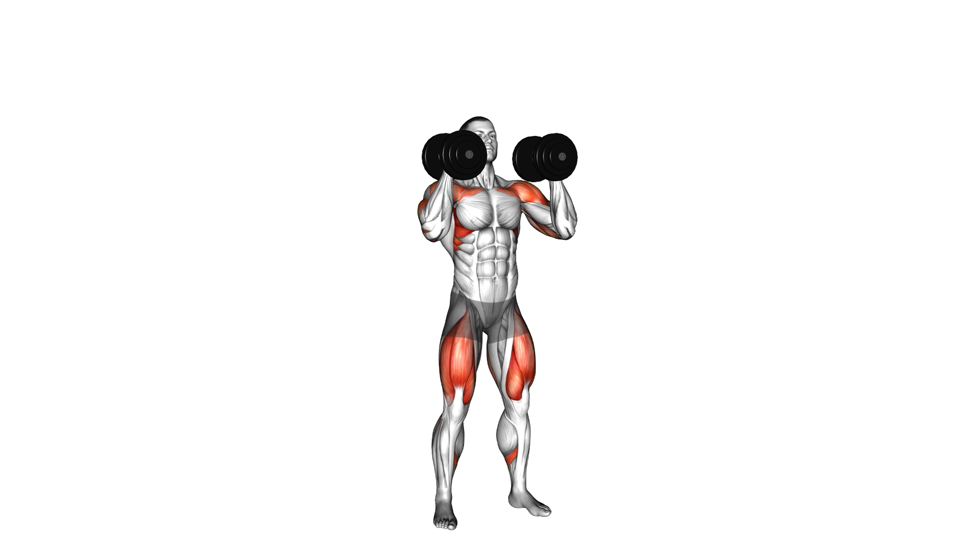 Dumbbell Push Press exercise demonstration