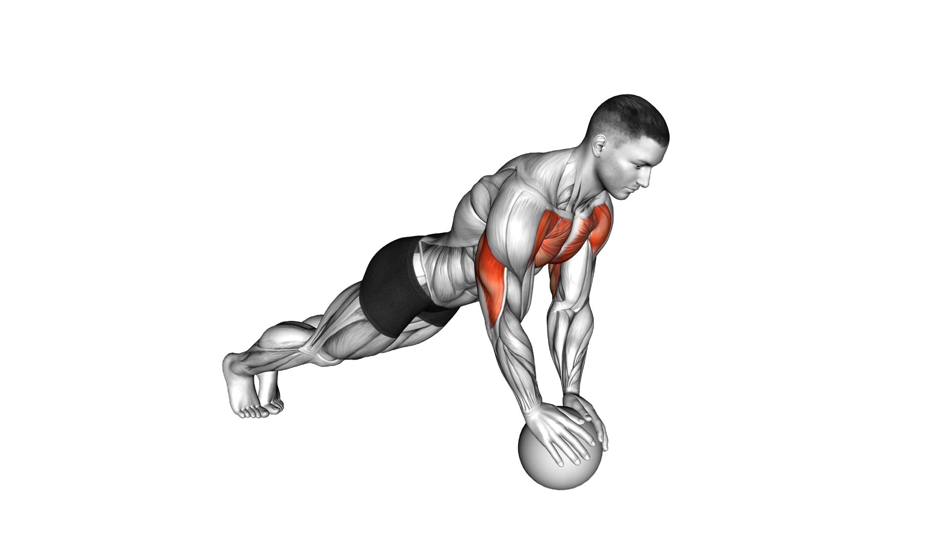 Medicine Ball Close Grip Push Up exercise thumbnail