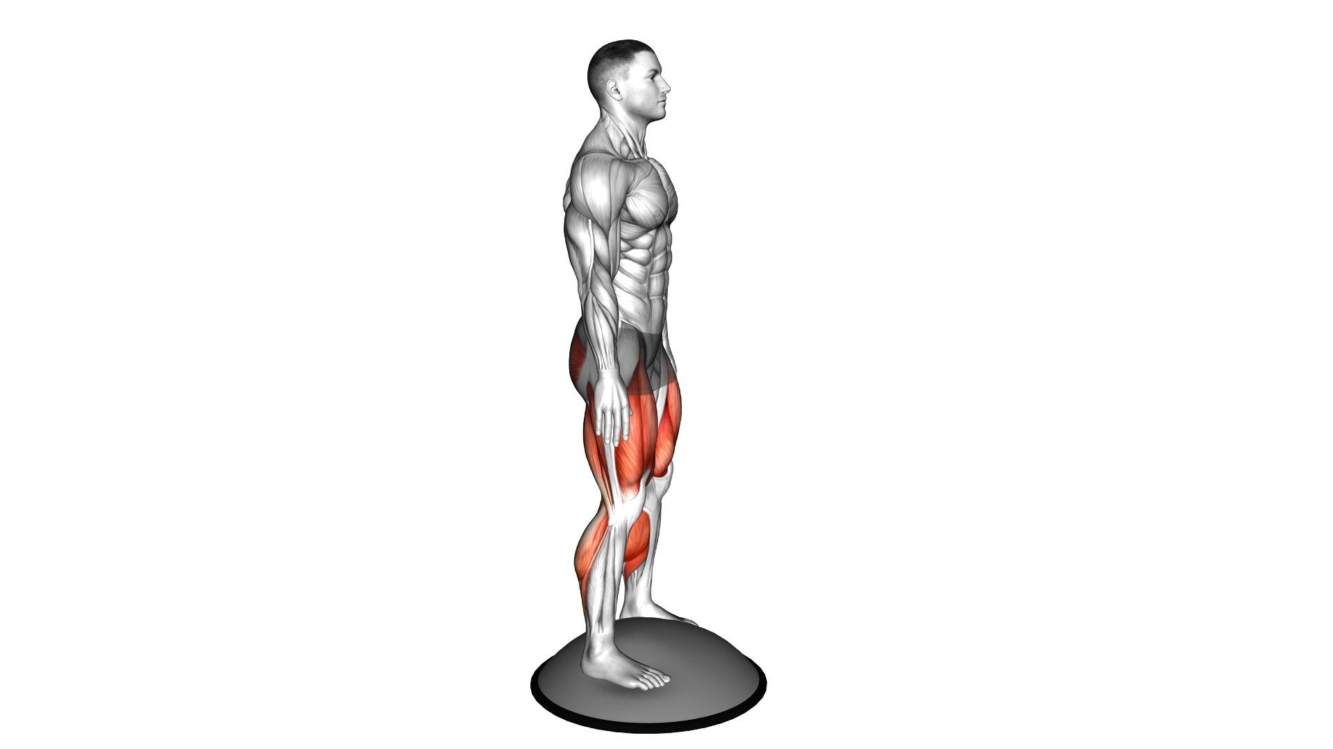 Bosu Ball Squat exercise thumbnail