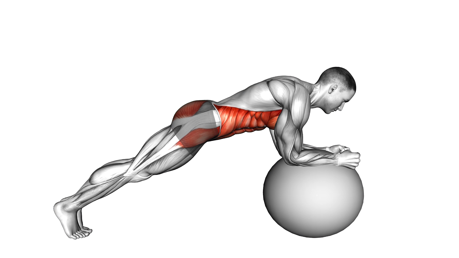 Stability Ball Front Plank exercise demonstration