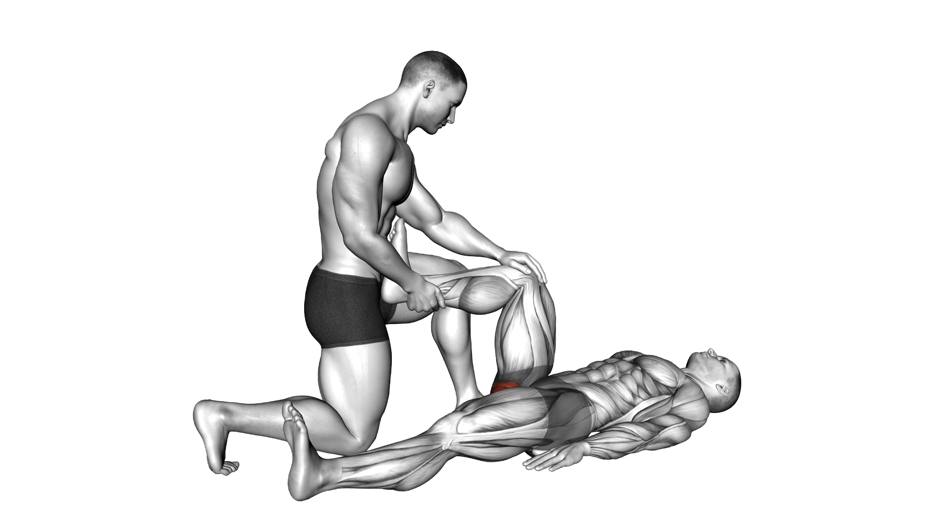 Assisted Lying Gluteus Maximus Stretch exercise thumbnail